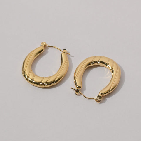 Regal Shine Golden Earrings