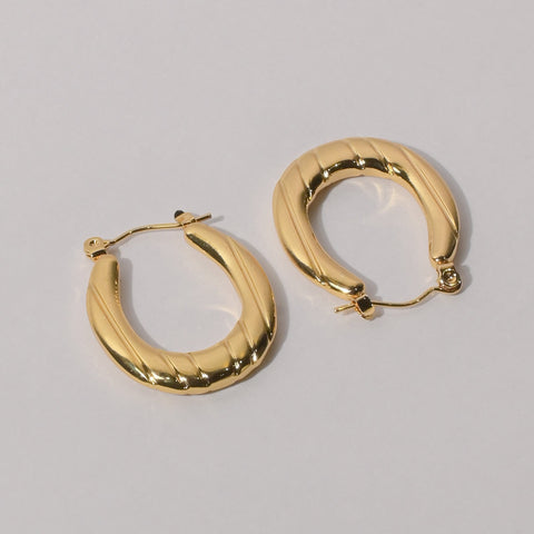 Regal Shine Golden Earrings